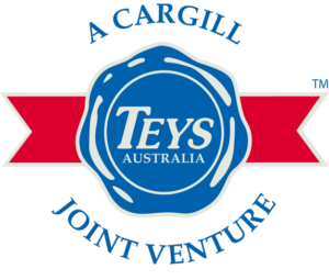 teys_logo